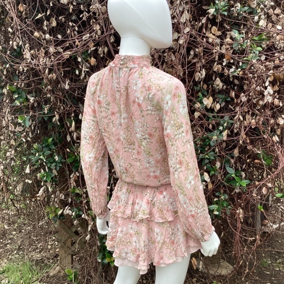 Yumi Kim Class Act In Eden Blush Boho Ruffle Mini Dress - Picture 4 of 9